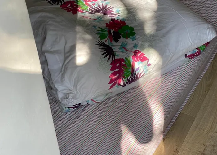 Petite Maison De Avec Jardin Quartier Calme Semesterbostad Nîmes